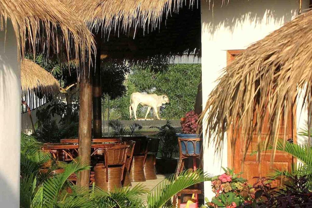 Penguin Pablo Bungalow Sihanoukville Exterior photo